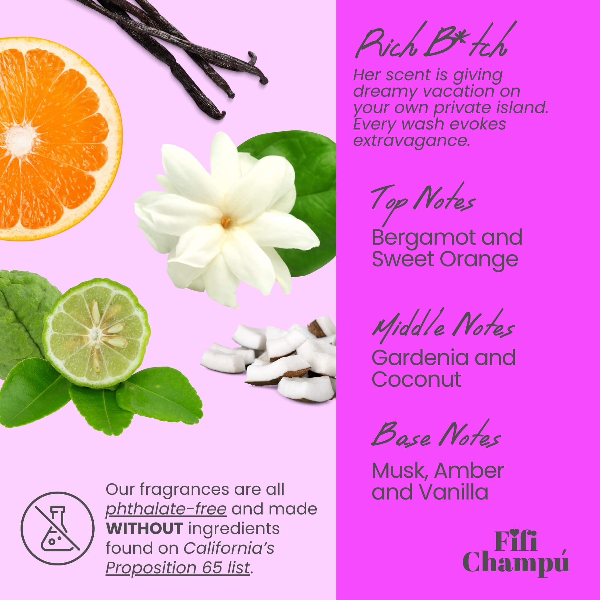 Rich B*tch Conditioner Bar: Luxuriously Nourishing for Dry, Thirsty Hair