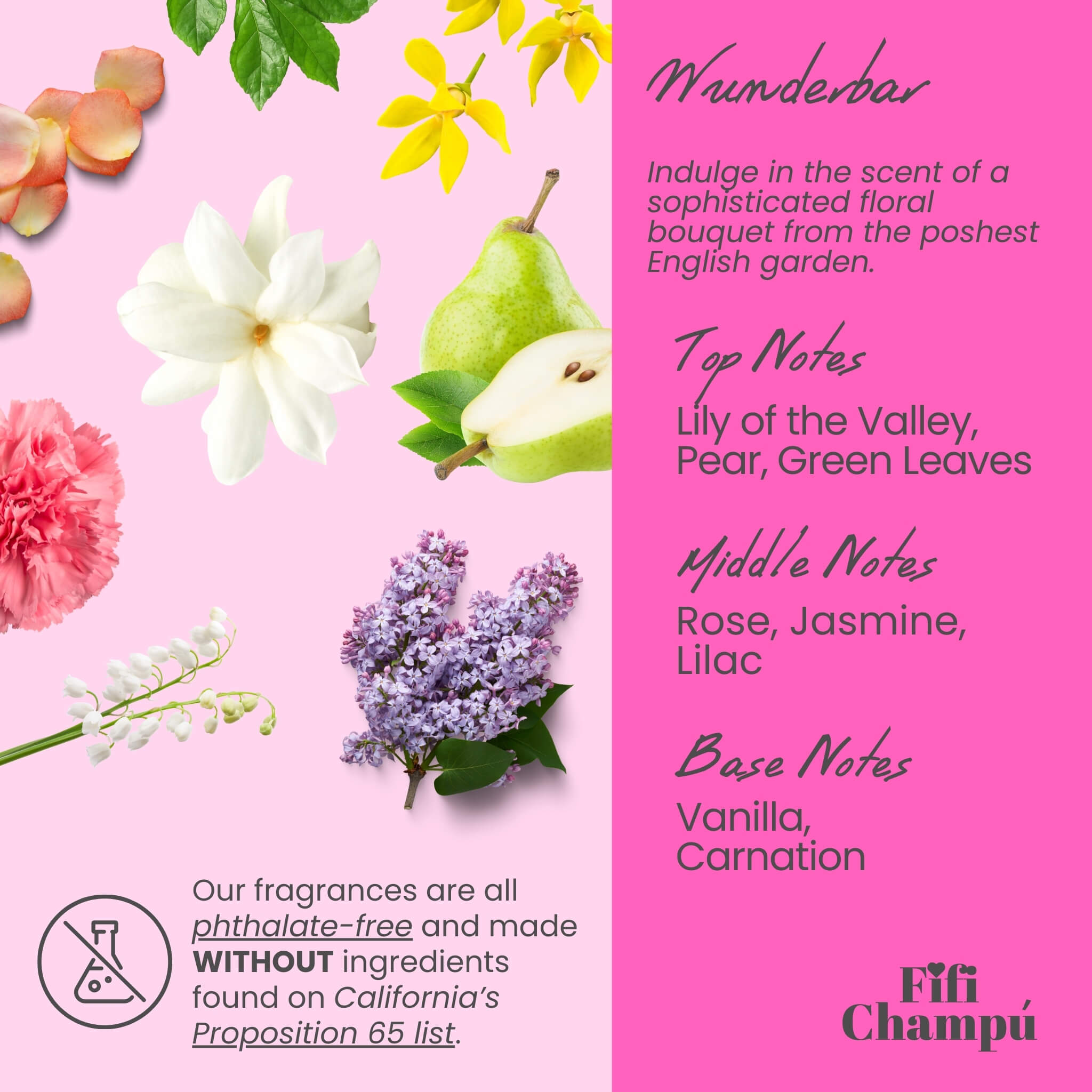 Wunderbar Conditioner Bar: Nourishing, Plant-Based Hydration