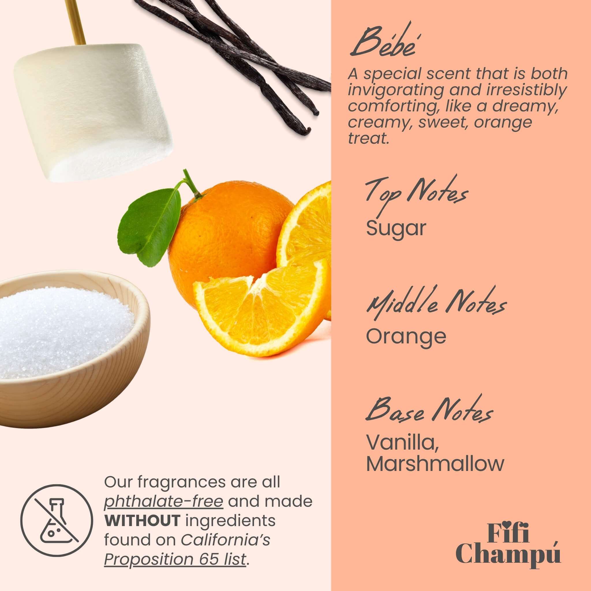 Fifi Champú Bébé scent infographic showcasing top notes of sugar, middle notes of orange, and base notes of vanilla and marshmallow, highlighting phthalate-free and Proposition 65-compliant ingredients.