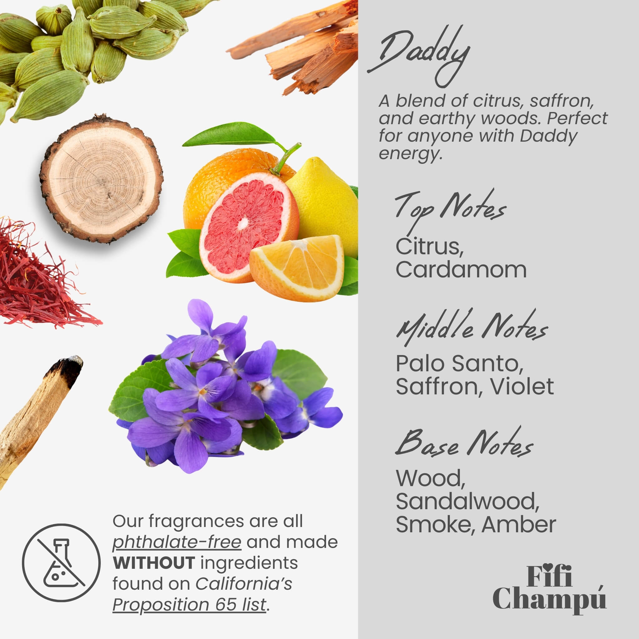 Fifi Champú Daddy conditioner bar features a blend of citrus, saffron, and earthy woods with notes of cardamom, palo santo, and amber.