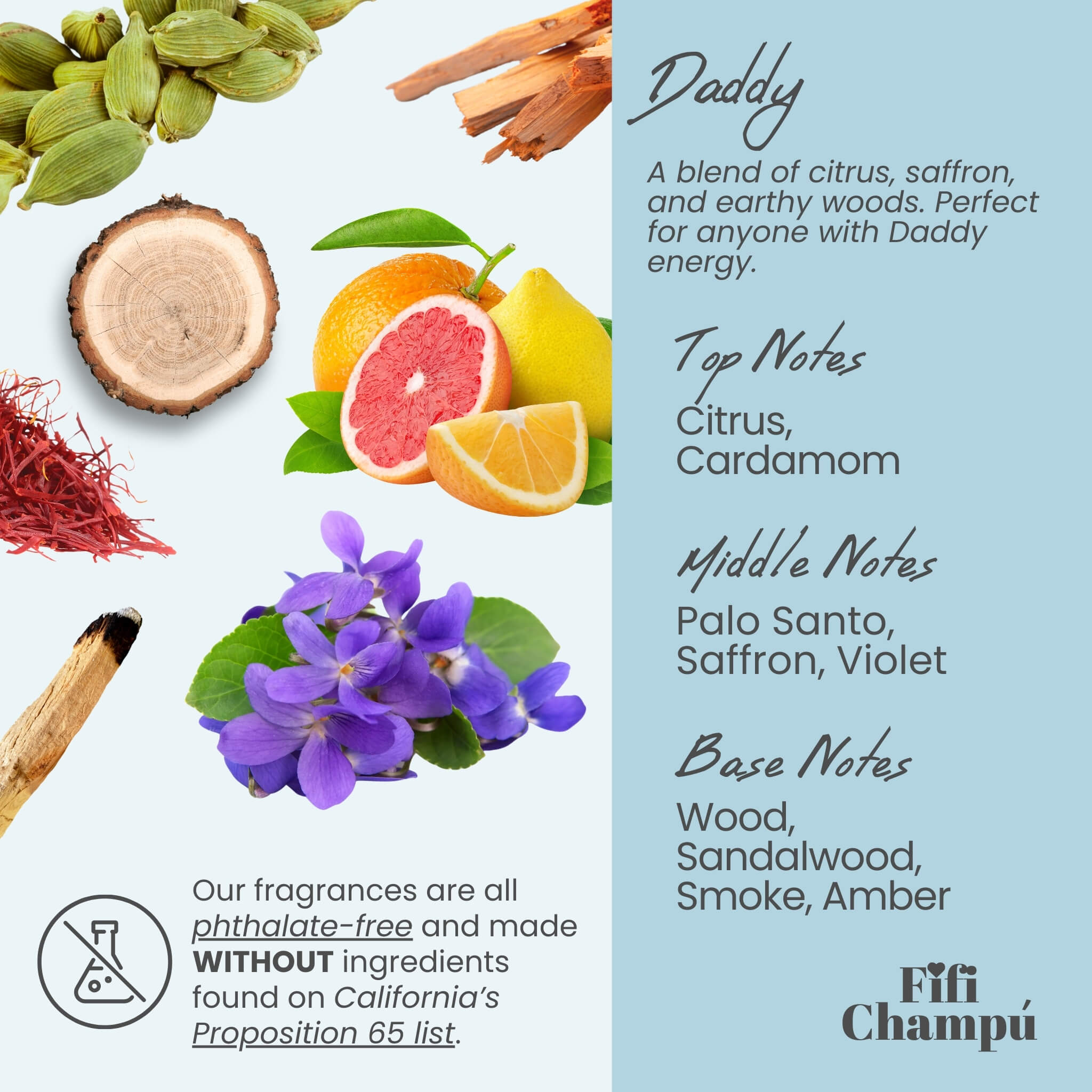 Fifi Champú Daddy Shampoo Bar scent breakdown featuring citrus, cardamom, palo santo, saffron, violet, sandalwood, smoke, and amber with supporting ingredient visuals.
